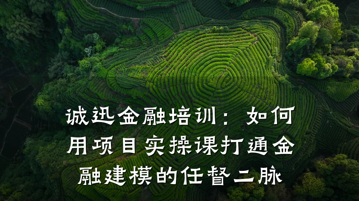 诚迅金融培训：如何用项目实操课打通金融建模的任督二脉