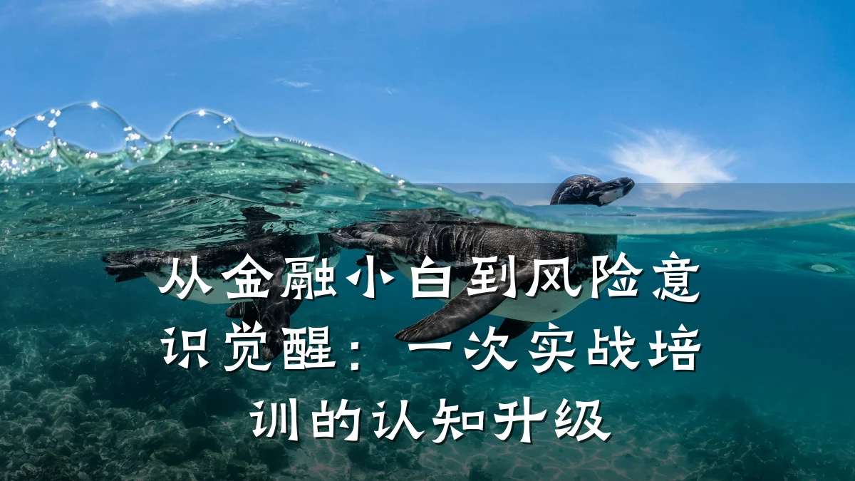 从金融小白到风险意识觉醒：一次实战培训的认知升级