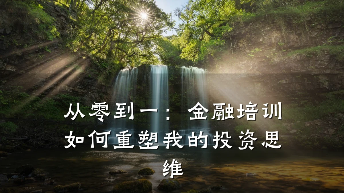 从零到一：金融培训如何重塑我的投资思维