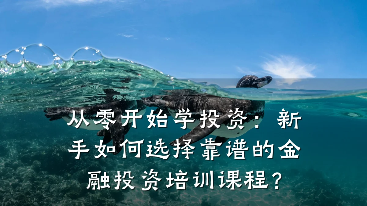 从零开始学投资：新手如何选择靠谱的金融投资培训课程？