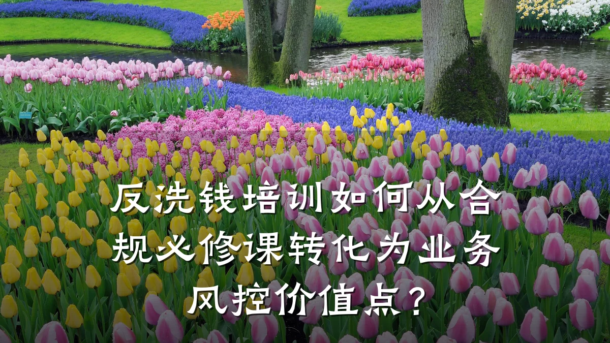 反洗钱培训如何从合规必修课转化为业务风控价值点？
