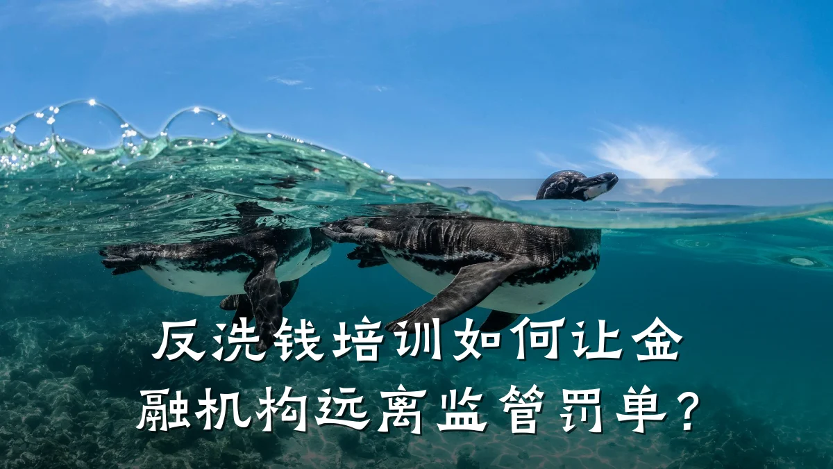 反洗钱培训如何让金融机构远离监管罚单？