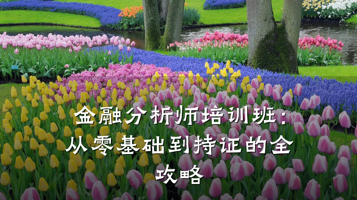 金融分析师培训班：从零基础到持证的全攻略