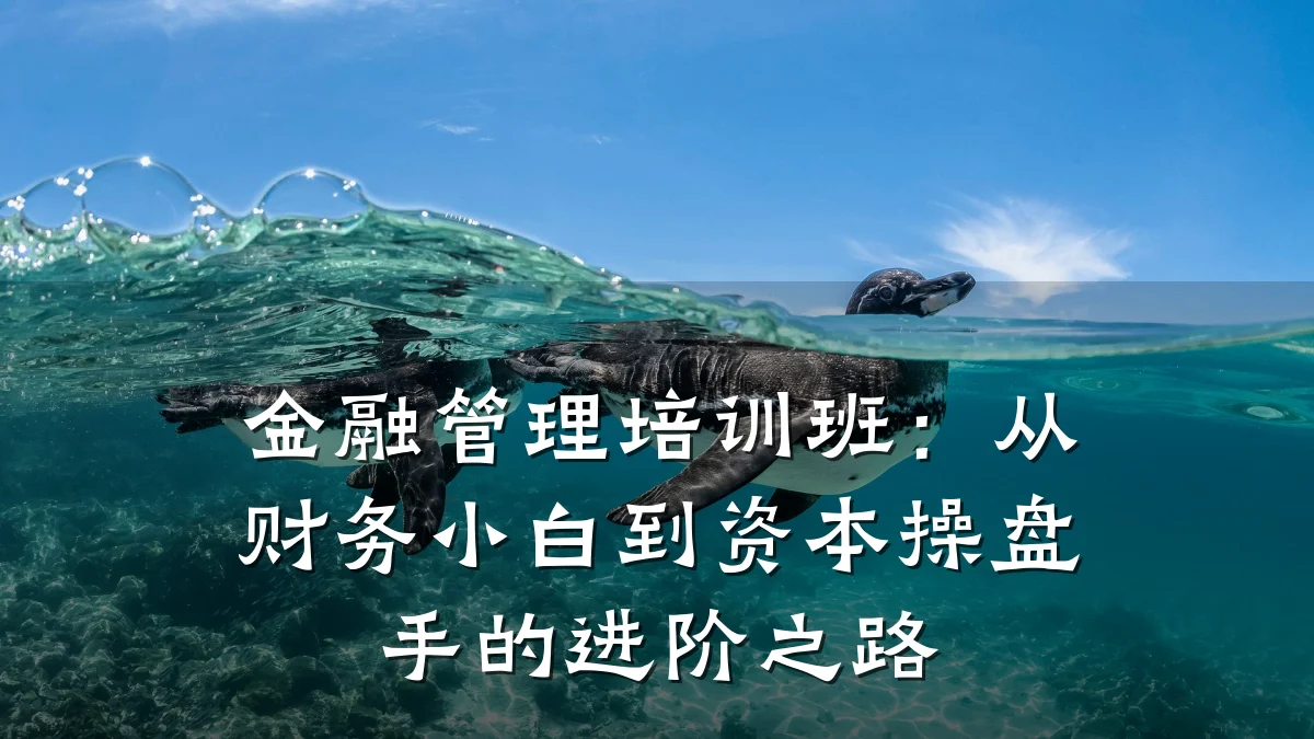 金融管理培训班：从财务小白到资本操盘手的进阶之路