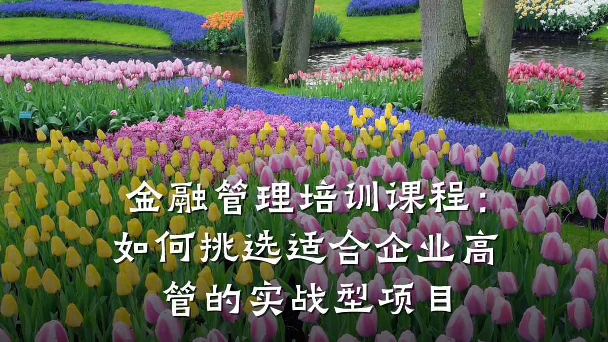 金融管理培训课程：如何挑选适合企业高管的实战型项目