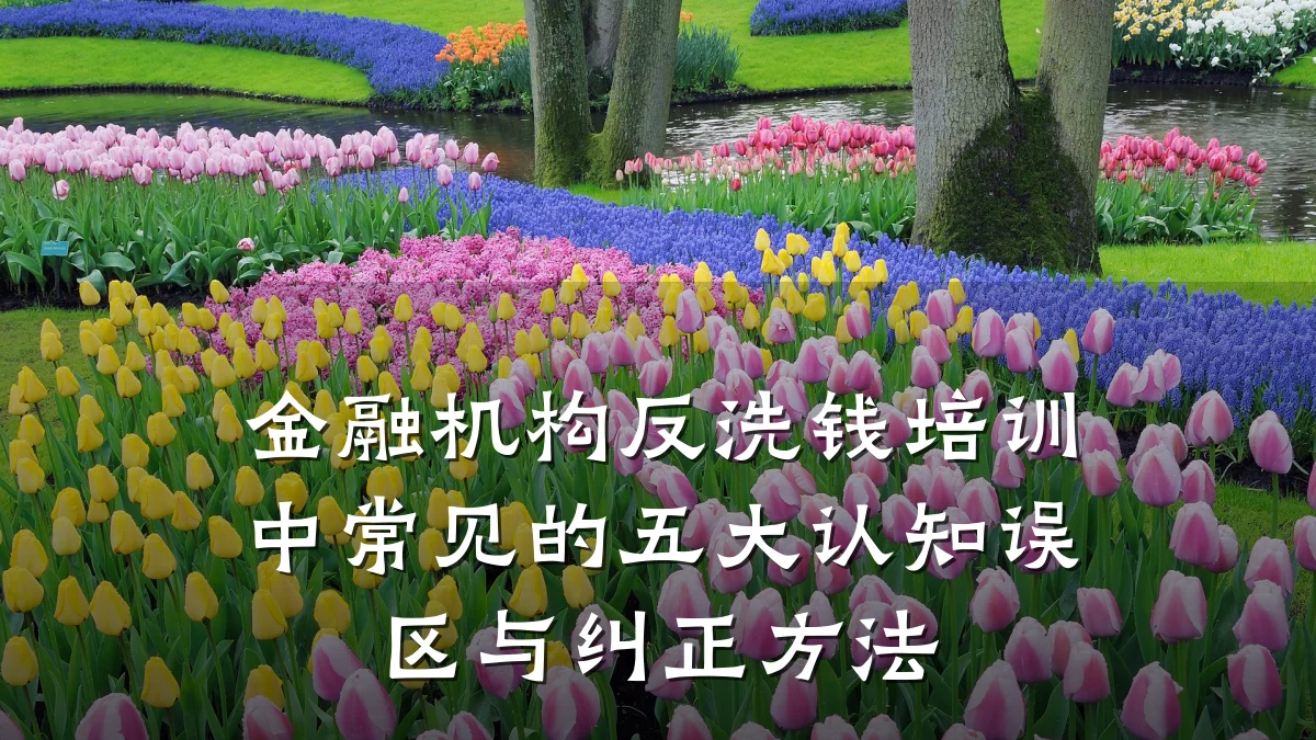 金融机构反洗钱培训中常见的五大认知误区与纠正方法