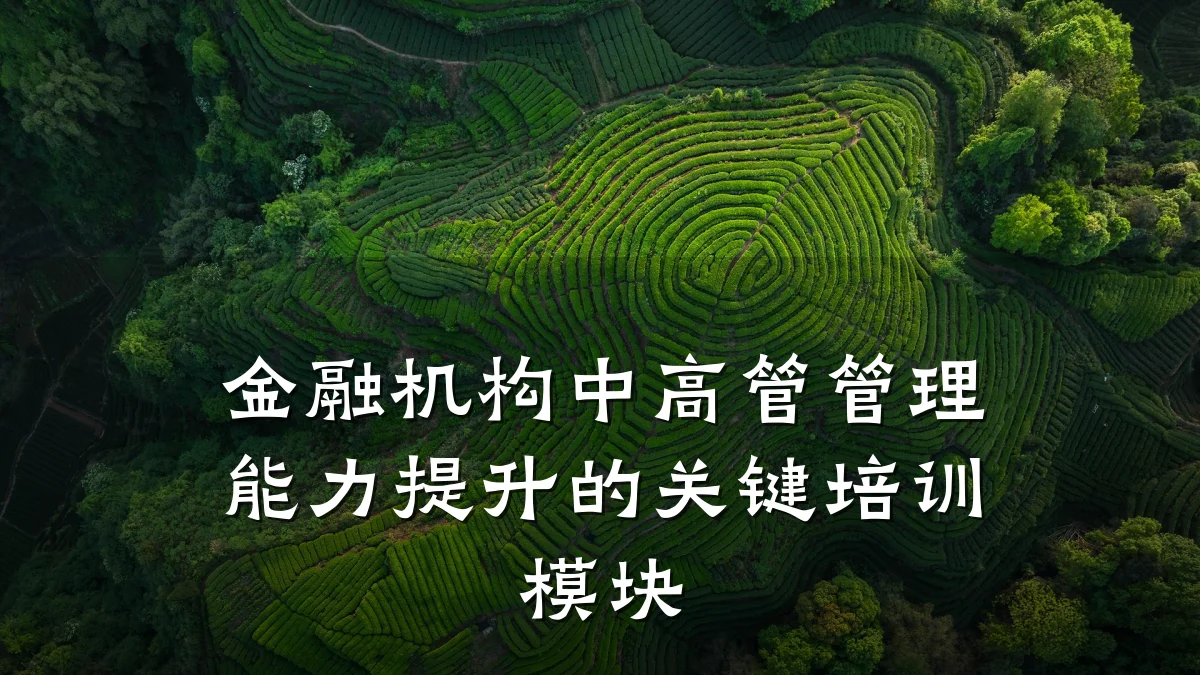 金融机构中高管管理能力提升的关键培训模块