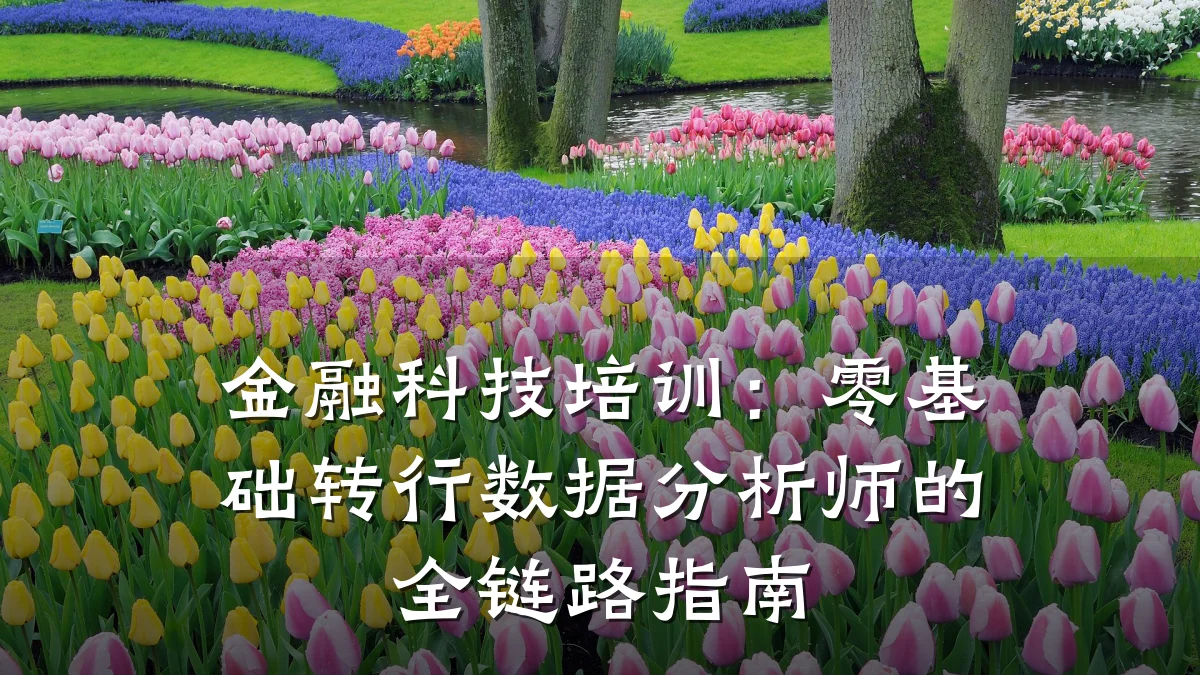 金融科技培训：零基础转行数据分析师的全链路指南
