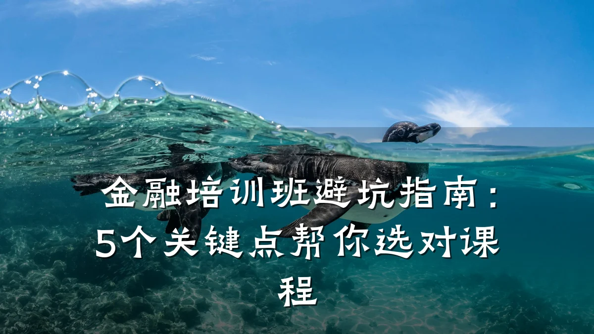 金融培训班避坑指南：5个关键点帮你选对课程