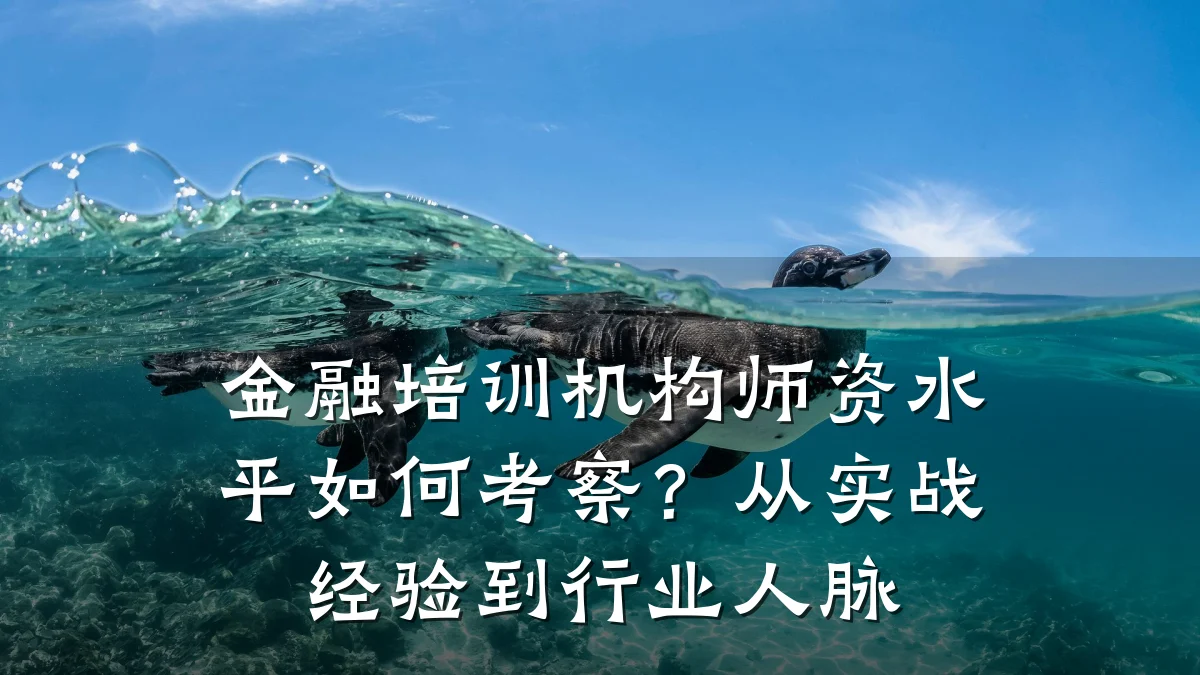 金融培训机构师资水平如何考察？从实战经验到行业人脉
