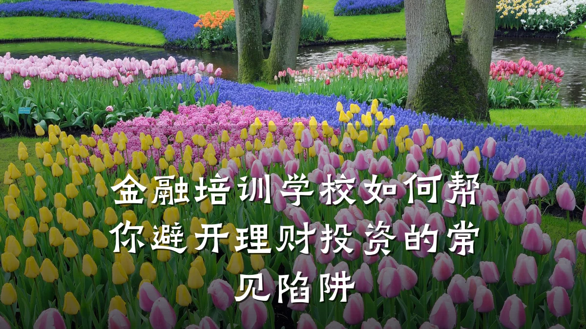 金融培训学校如何帮你避开理财投资的常见陷阱