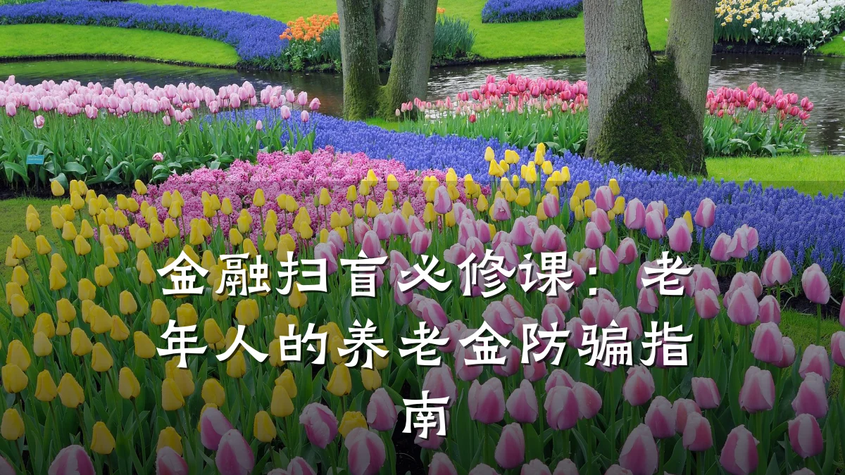 金融扫盲必修课：老年人的养老金防骗指南