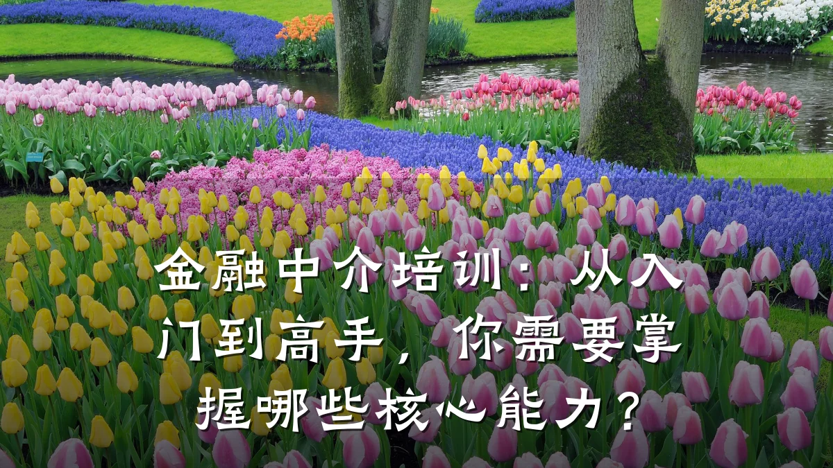 金融中介培训：从入门到高手，你需要掌握哪些核心能力？