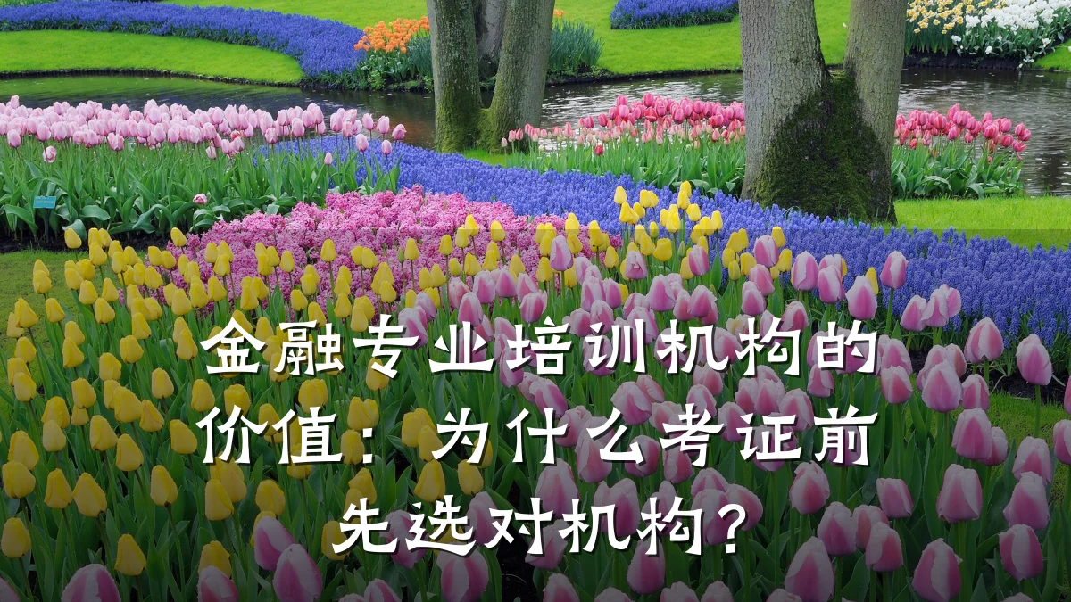 金融专业培训机构的价值：为什么考证前先选对机构？