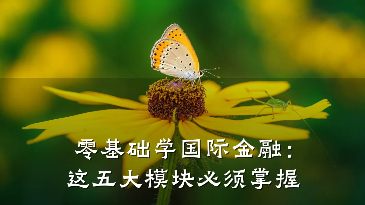 零基础学国际金融：这五大模块必须掌握