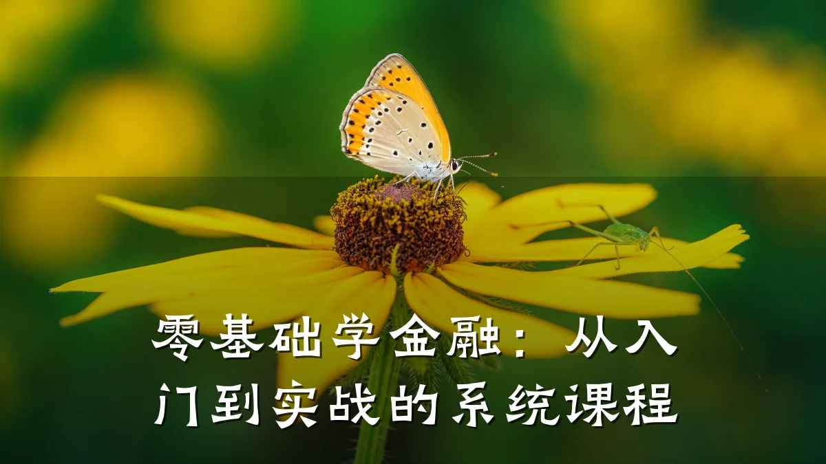 零基础学金融：从入门到实战的系统课程