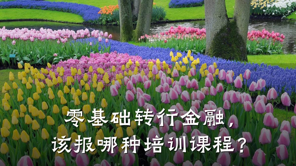 零基础转行金融，该报哪种培训课程？