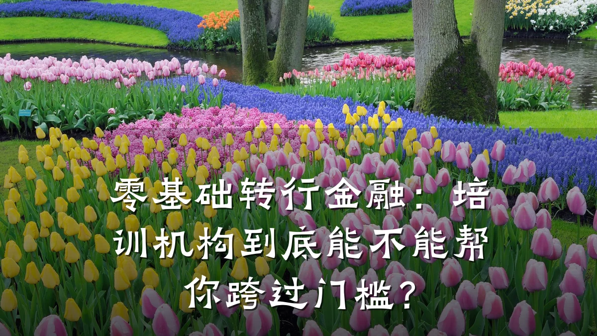 零基础转行金融：培训机构到底能不能帮你跨过门槛？