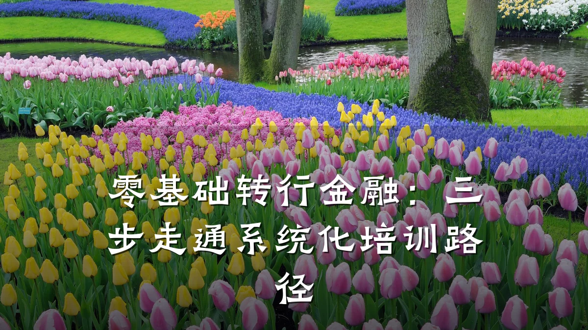 零基础转行金融：三步走通系统化培训路径