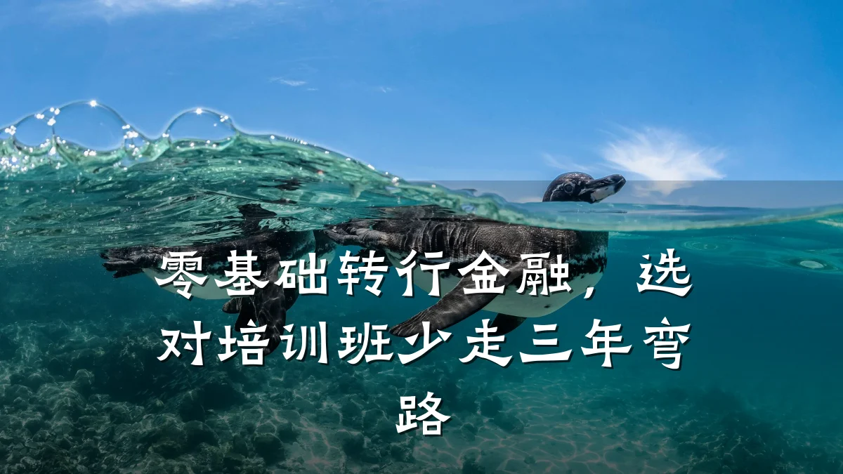 零基础转行金融，选对培训班少走三年弯路