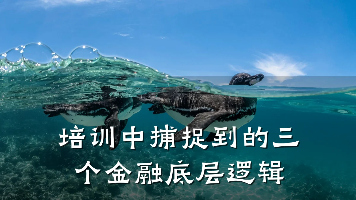 培训中捕捉到的三个金融底层逻辑