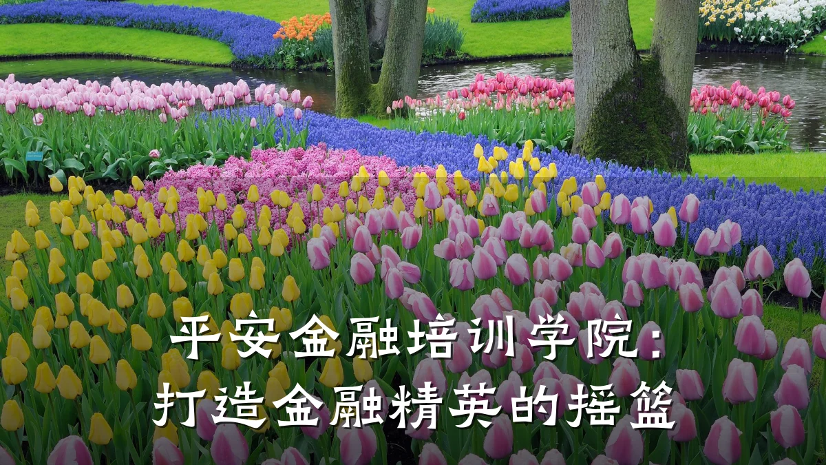 平安金融培训学院：打造金融精英的摇篮