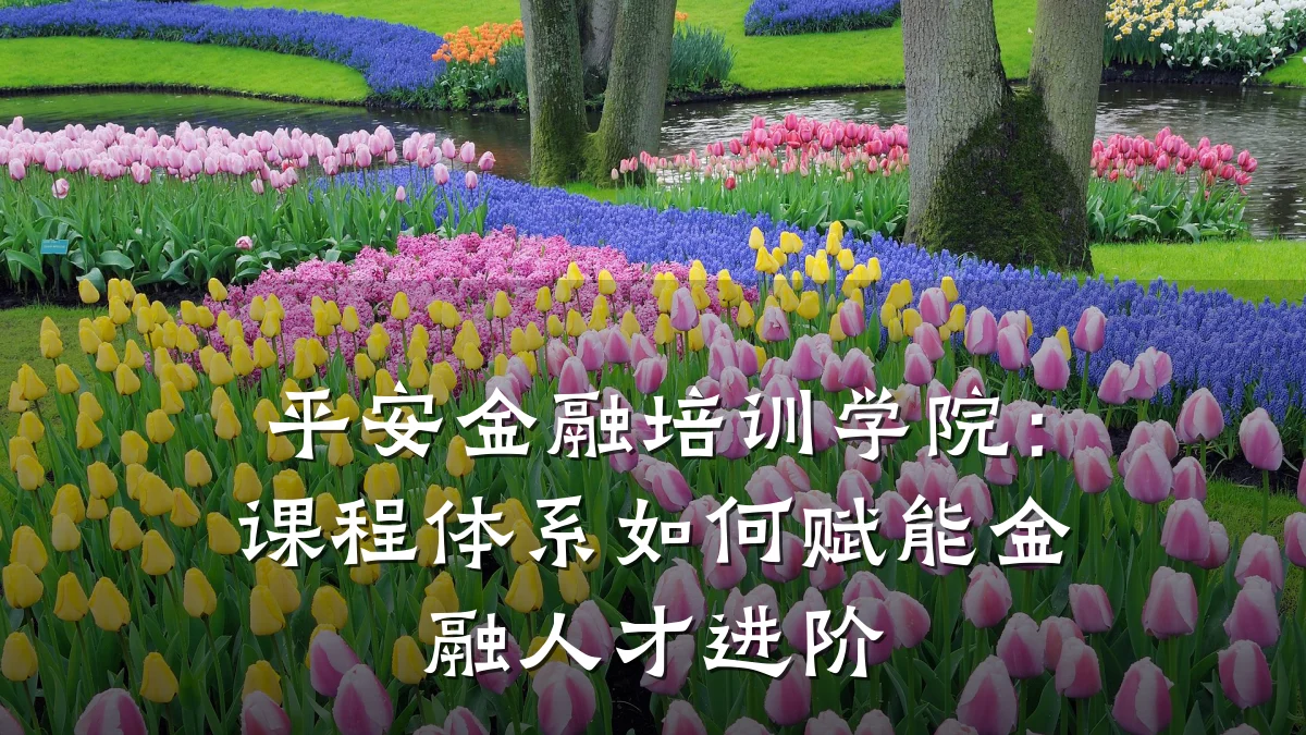 平安金融培训学院：课程体系如何赋能金融人才进阶