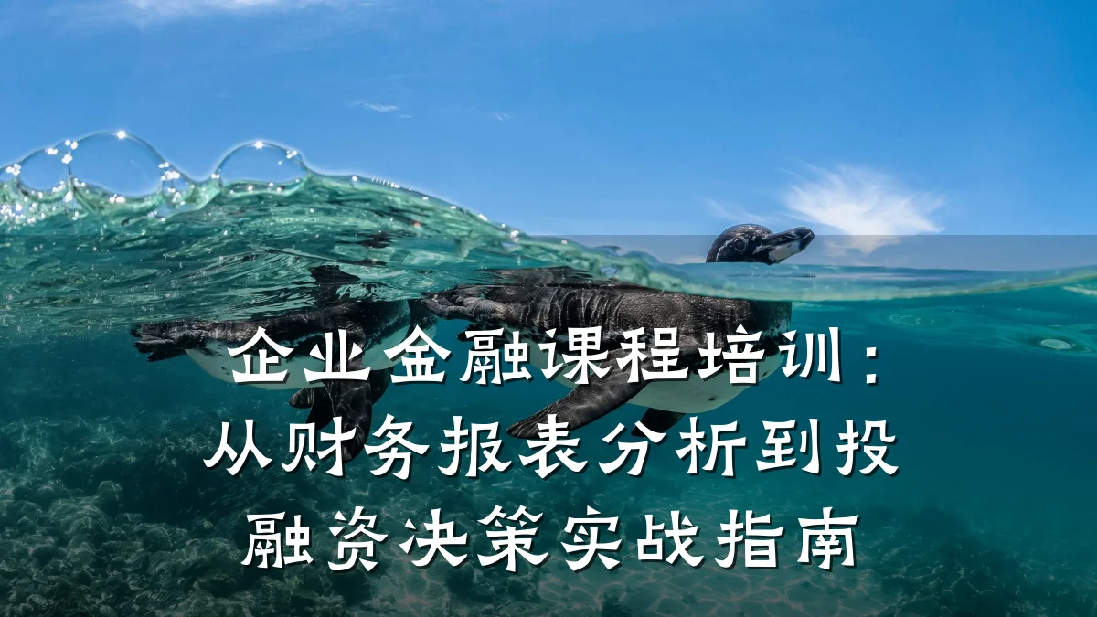 企业金融课程培训：从财务报表分析到投融资决策实战指南