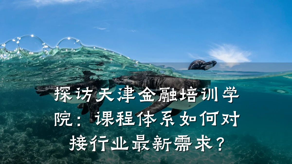 探访天津金融培训学院：课程体系如何对接行业最新需求？