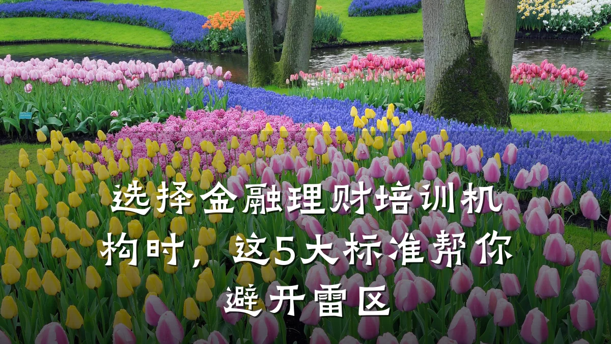 选择金融理财培训机构时，这5大标准帮你避开雷区