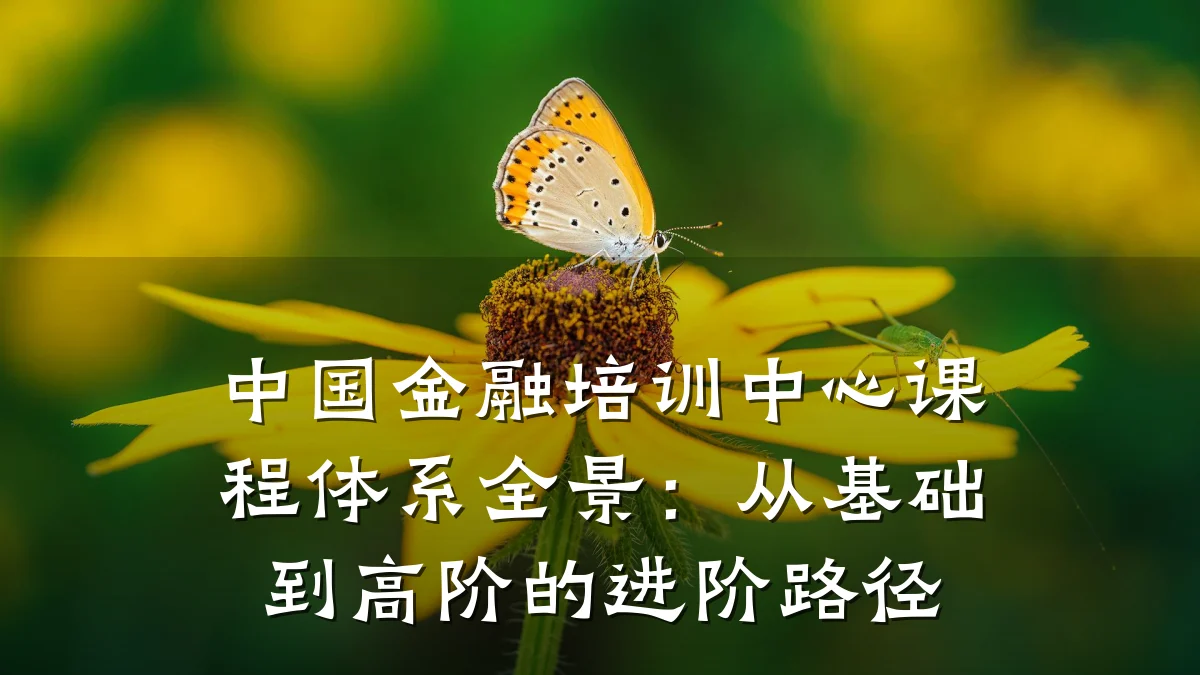 中国金融培训中心课程体系全景：从基础到高阶的进阶路径