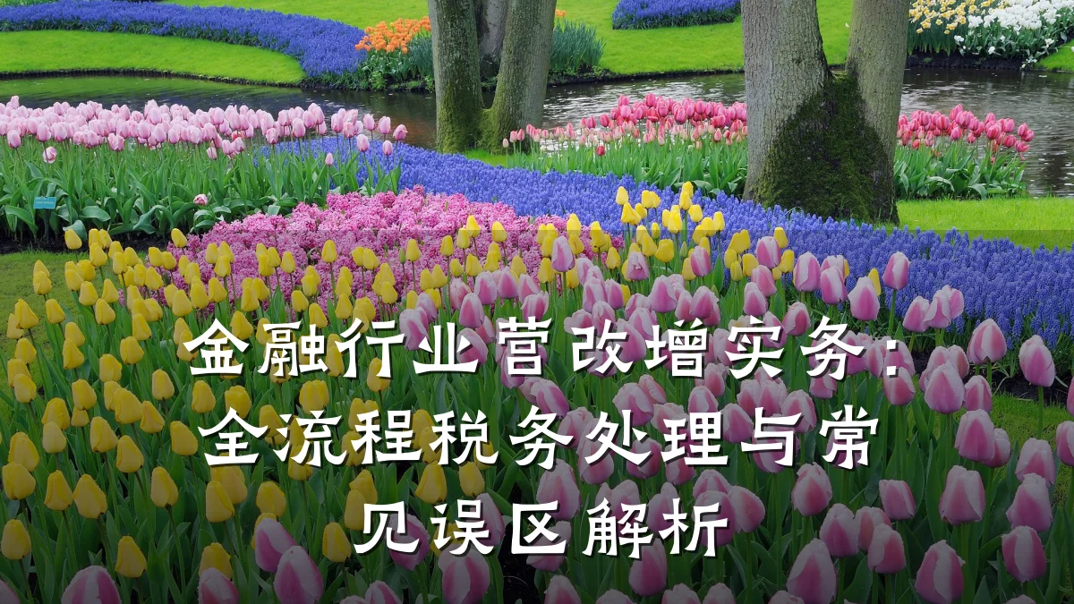 金融行业营改增实务:全流程税务处理与常见误区解析