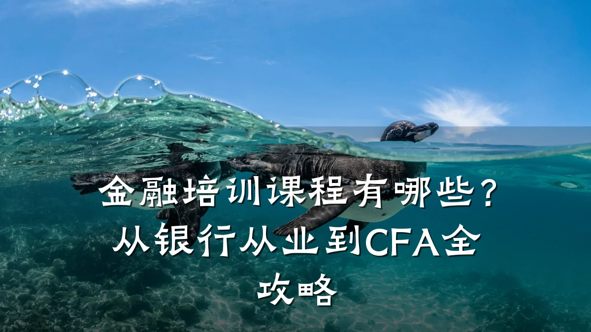 金融培训课程有哪些？从银行从业到CFA全攻略